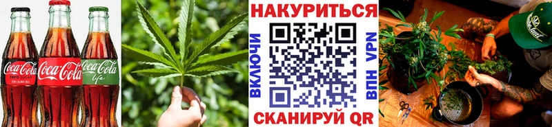 Купить  Новоржев  Canna-Cookies марихуана 