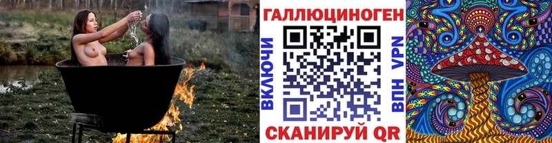 Псилоцибиновые грибы мицелий  Купить  Новоржев 